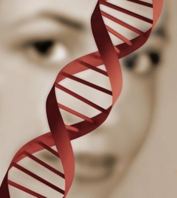 genetica2.jpg